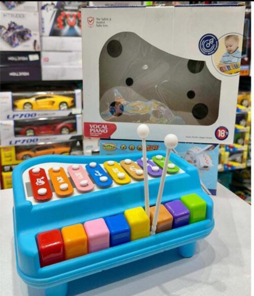 WhatsApp Image 2025-06-28 at 7.58.50 PM Colorful Musical Vocal Piano Toy